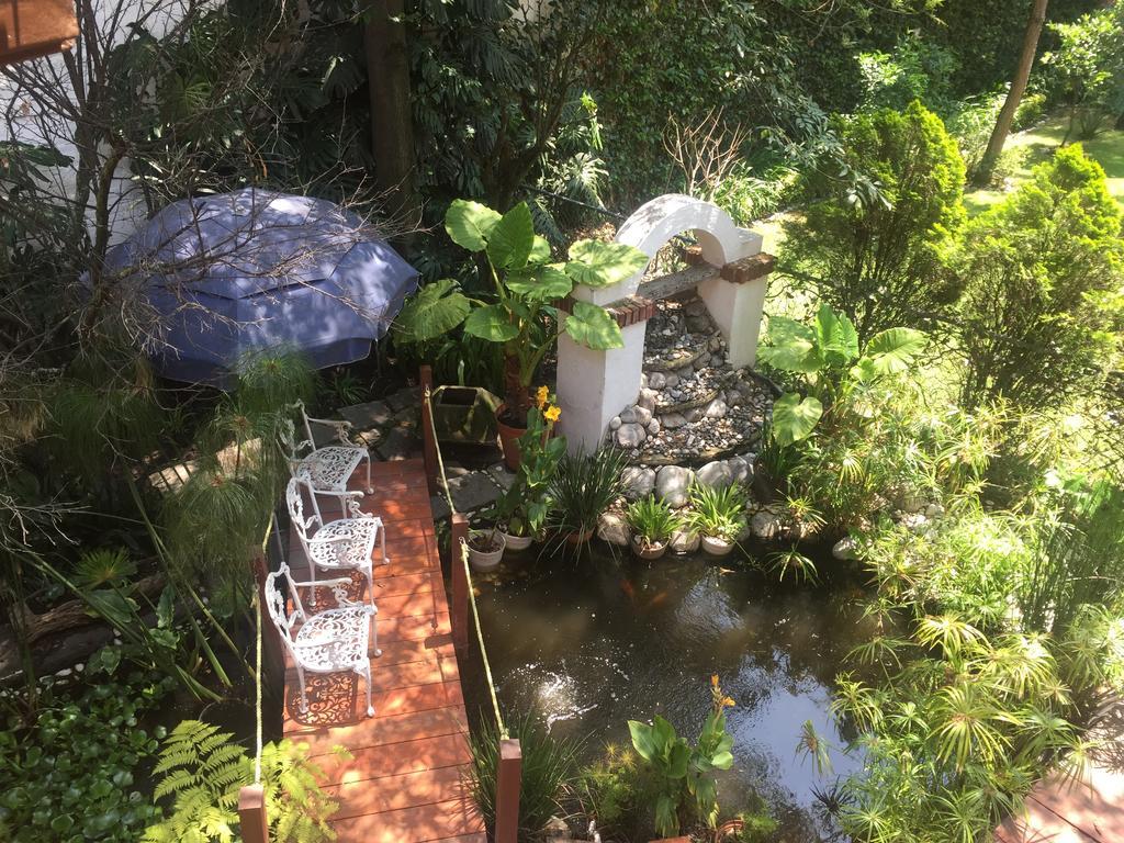 Villas Sol Y Luna Coyoacan Mexico by Eksteriør bilde